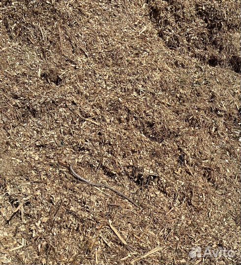 Древесная щепа