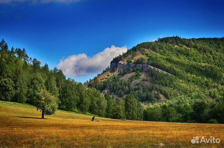 19/09 Гумеровское ущелье и гора Бужа-тау