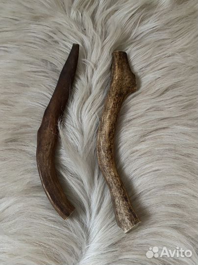 Рога оленя для собак