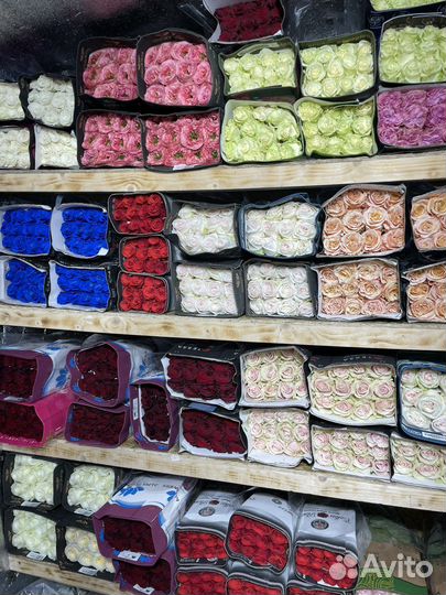 Эквадорские розы, 101 роза, 51 роза