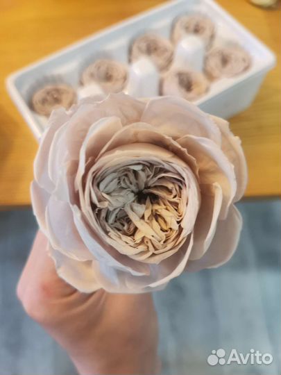 Стабилизированные бутоны роз