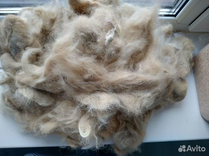 Собачья шерсть пух