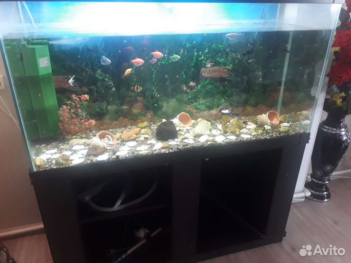 Аквариум