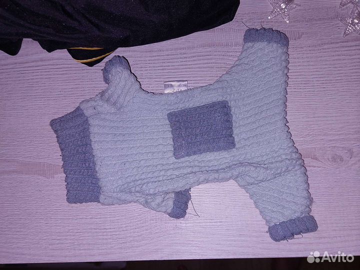 Одежда для котят