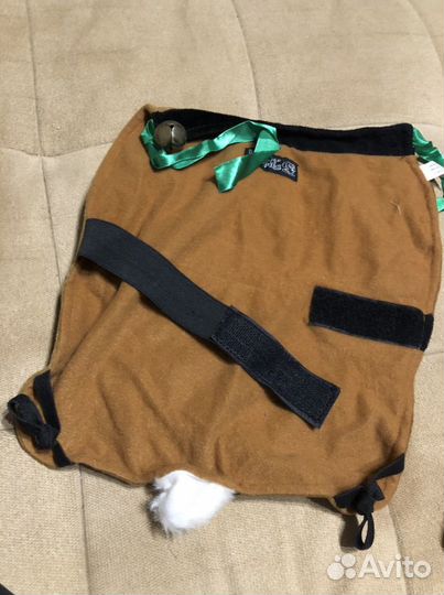 Костюм для собаки