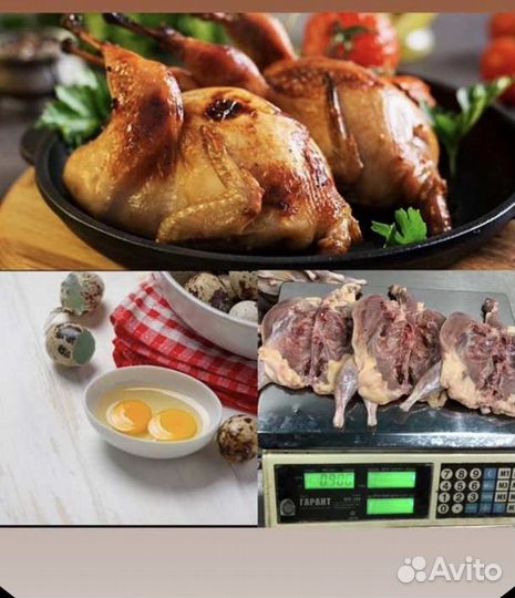 Мясо перепела