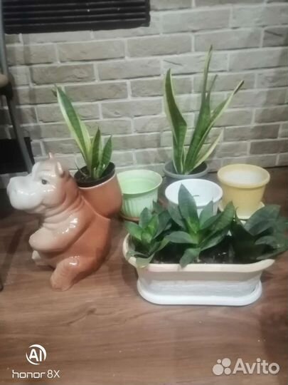 Горшки для цветов разные