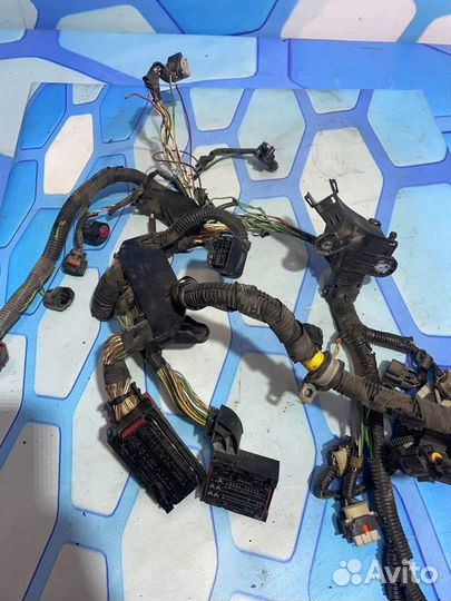 Проводка (коса) 31288963