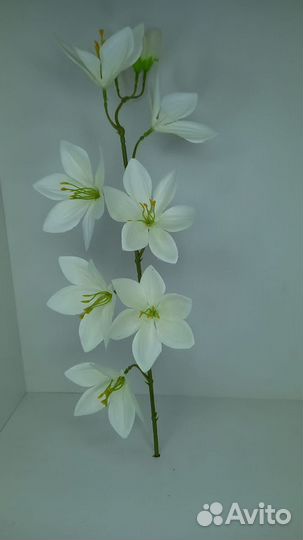 Ветка безвременника