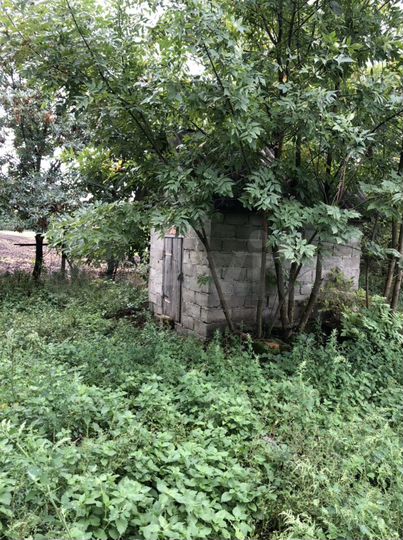 Дом 47 м² на участке 58 сот.