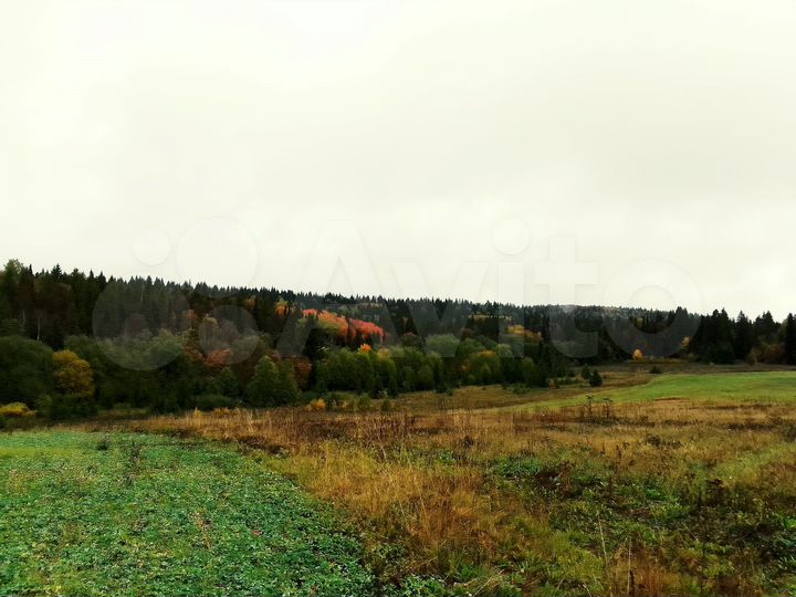 Участок 3,2 га (СНТ, ДНП)