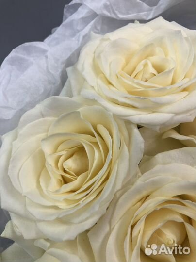 Монобукет из роз