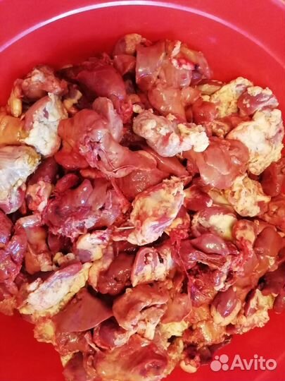 Курица домашняя (халяль)