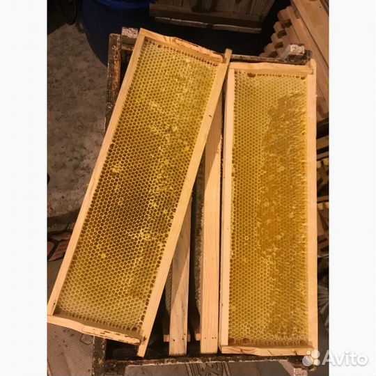 Полурамки для пчёл (сушь)