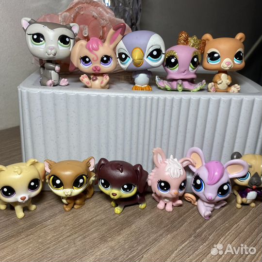 Littlest pet shop