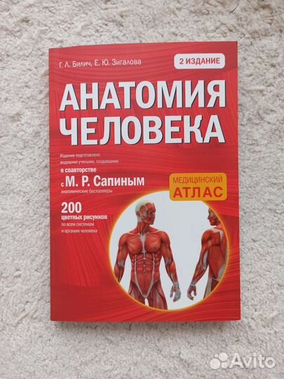 Подготовка к огэ и егэ