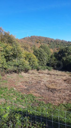 Участок 21 сот. (ИЖС)