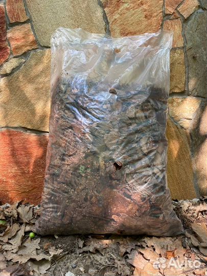 Мульча сосны фракция 3-6 премиум качество