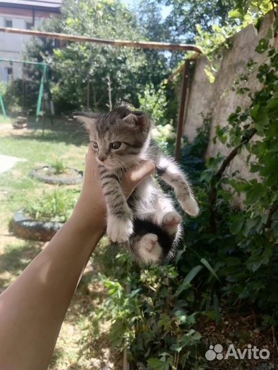 Мы хотим жить