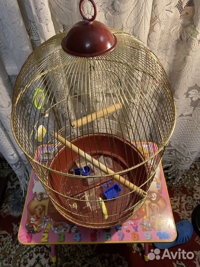 Клетка для попугая