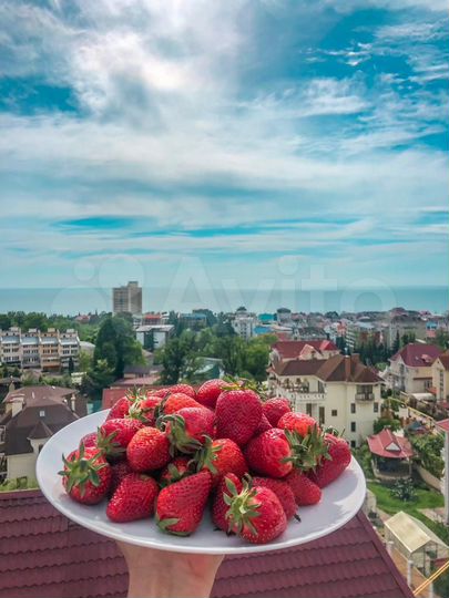 1-к. квартира, 42 м², 4/5 эт.