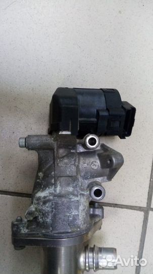 Охладитель клапана egr Радиатор, рециркуляция