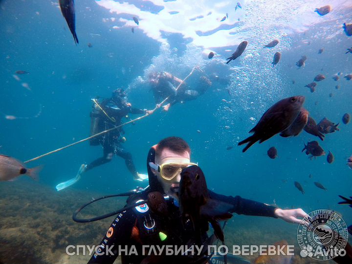 Дайвинг в Геленджике