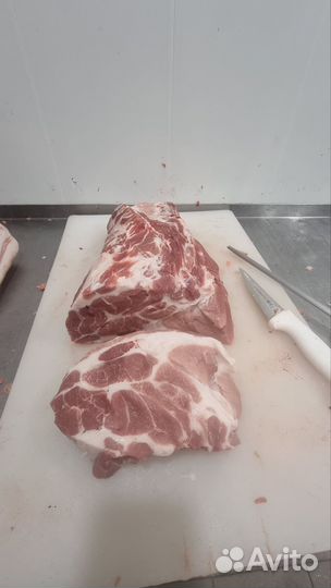 Мясо свинина домашняя
