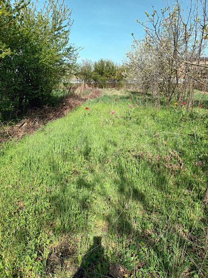 Участок 6 сот. (ИЖС)