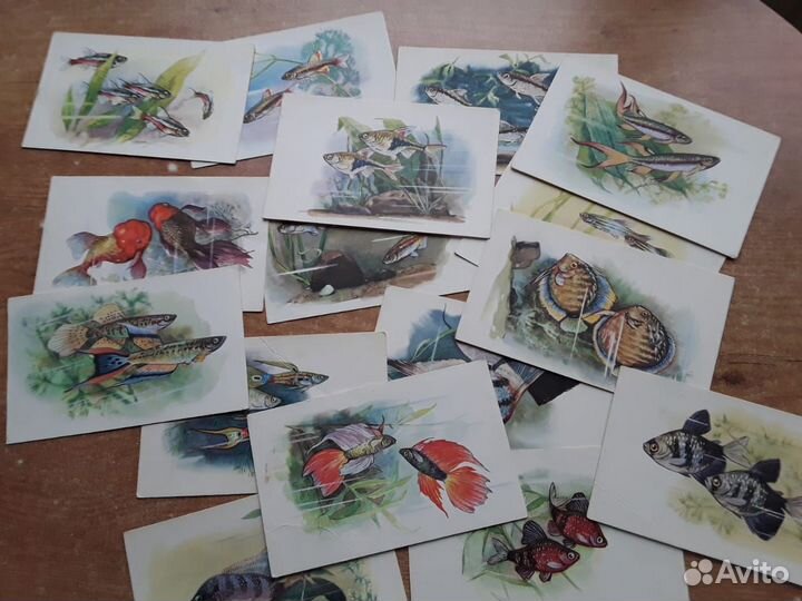 Открытки ссср. Разные