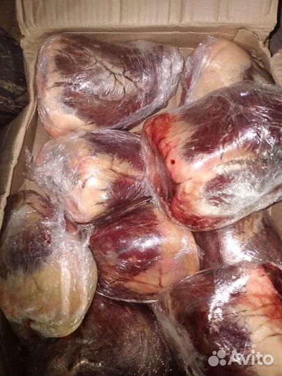 Сердце говяжье