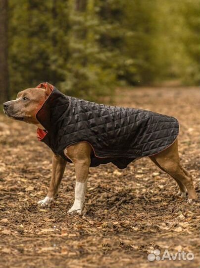 Попона для собак, куртка комбинезон
