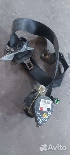 Ремень задний на Volkswagen Phaeton