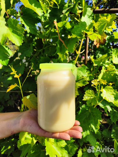 Домашнее сгущенное молоко