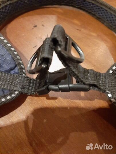 Шлейка для собаки