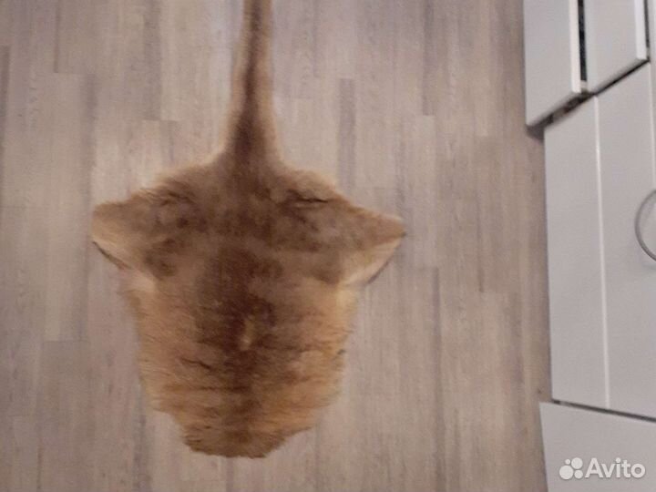 Шкура Кенгуру