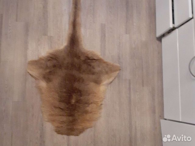 Шкура Кенгуру