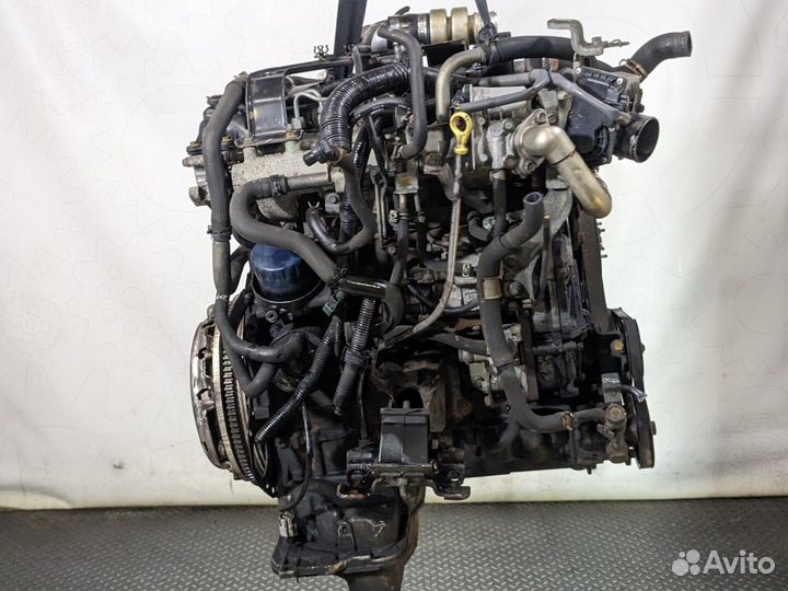 Форсунка топливная Nissan Navara, 2009