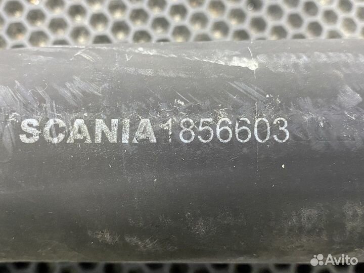 1856603 Патрубок радиатора Scania 5-series