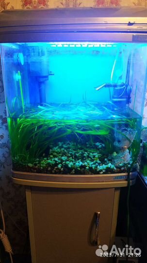 Аквариум 35л