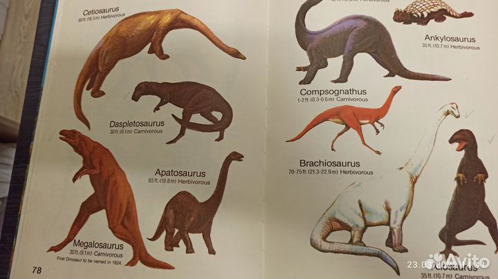 Книги детские в твердой обложке