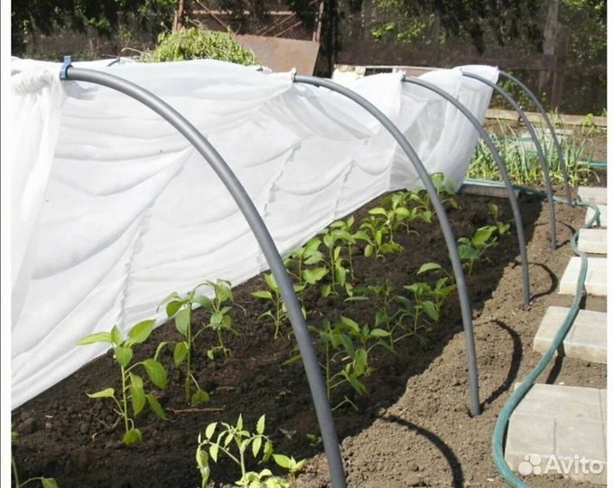 Парник тоннельного типа