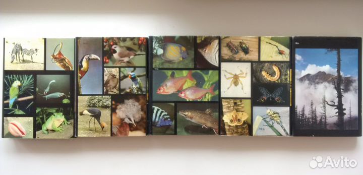 Иллюстрированная энциклопедия Артия Прага 5 книг