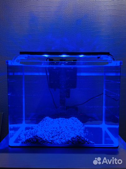 Аквариум, фильтр рюкзачок, компрессор, светильник