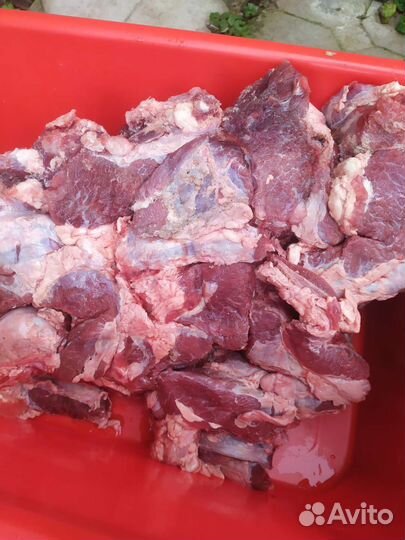 Говядина для собак