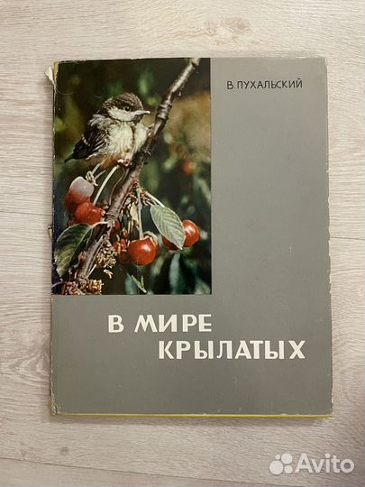 Пухальский В. В мире крылатых