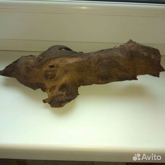 Коряга мангровая для аквариума