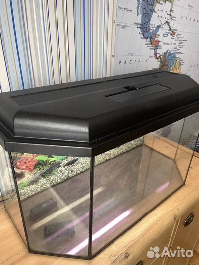 Аквариум на 100 литров с аксессуарами