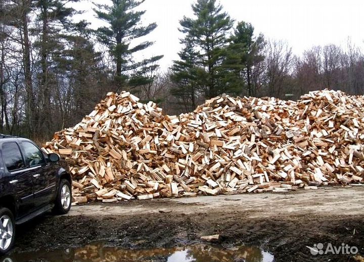 Дрова береза осина ольха