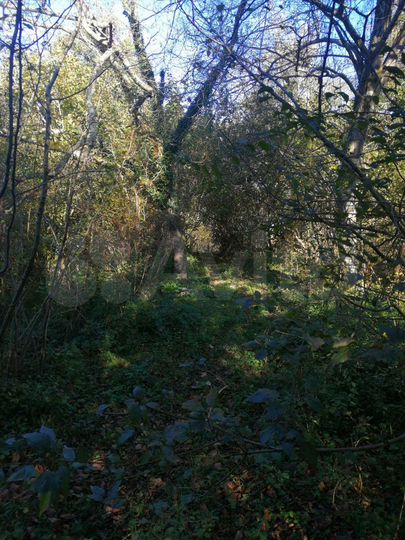 Участок 55 сот. (ИЖС)